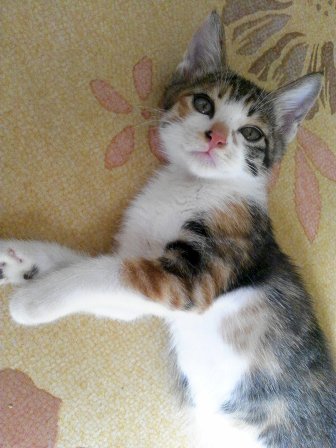 더블클릭을 하시면 이미지를 수정할 수 있습니다
